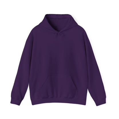 XP+100: Never Give Up - Hoodie