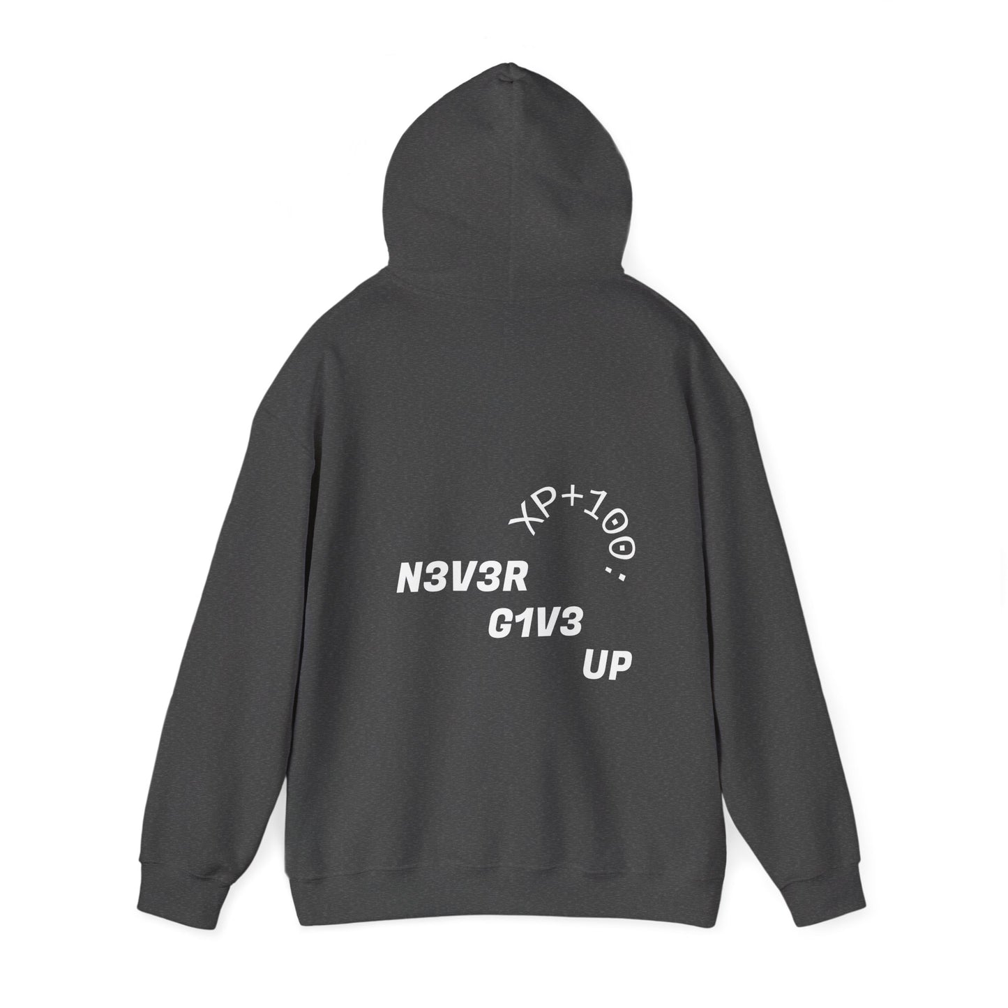 XP+100: Never Give Up - Hoodie